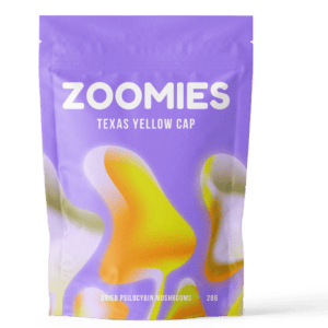 Texas Yellow Cap | Magic Mushroom Delivery Canada