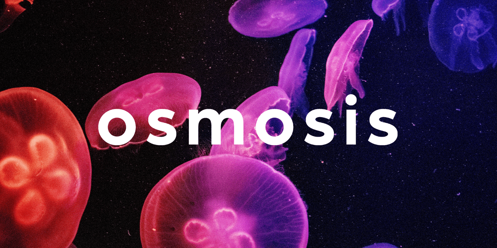 Zoomies osmosis banner | Magic Mushroom Delivery Canada