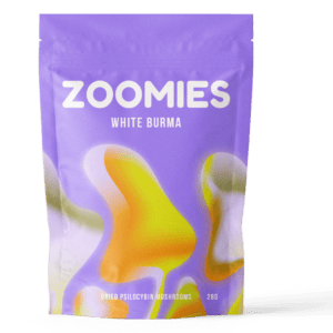White Burma | Magic Mushroom Delivery Canada