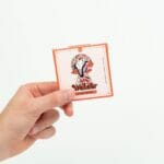 Wonder – Psilocybin Chocolate Bar – Blood Orange | Magic Mushroom Delivery Canada
