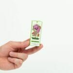 Wonder – Psilocybin Chocolate Bar – Dark Chocolate | Magic Mushroom Delivery Canada