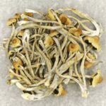 Hautla | Magic Mushroom Delivery Canada