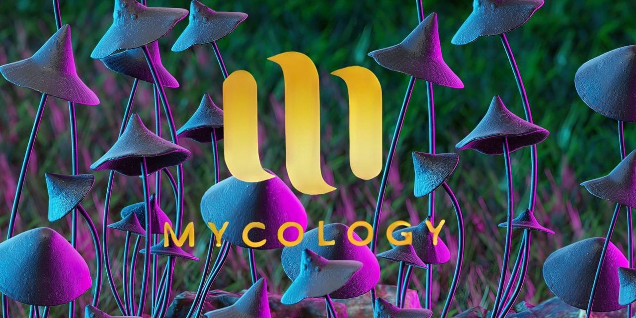 Zoomies Summer 2023 Banner - Mycology | Magic Mushroom Delivery Canada