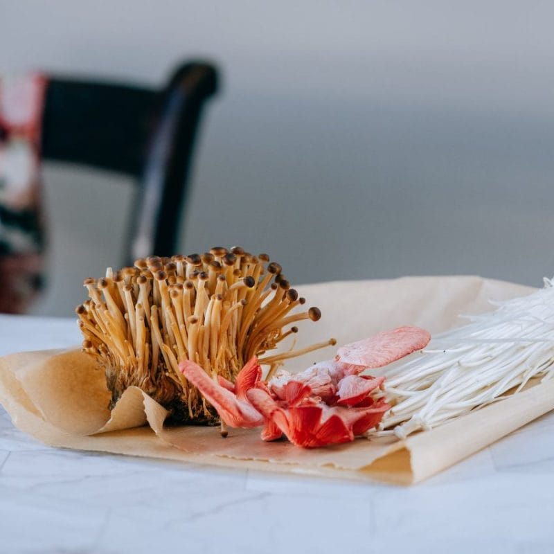 Buy Shrooms Online Canada (1) | Magic Mushroom Delivery Canada