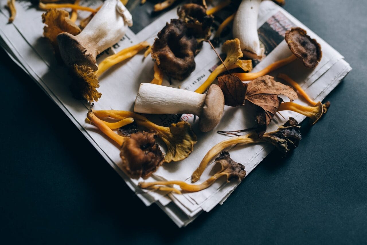 Do Chocolate and Mushrooms Pair Well?