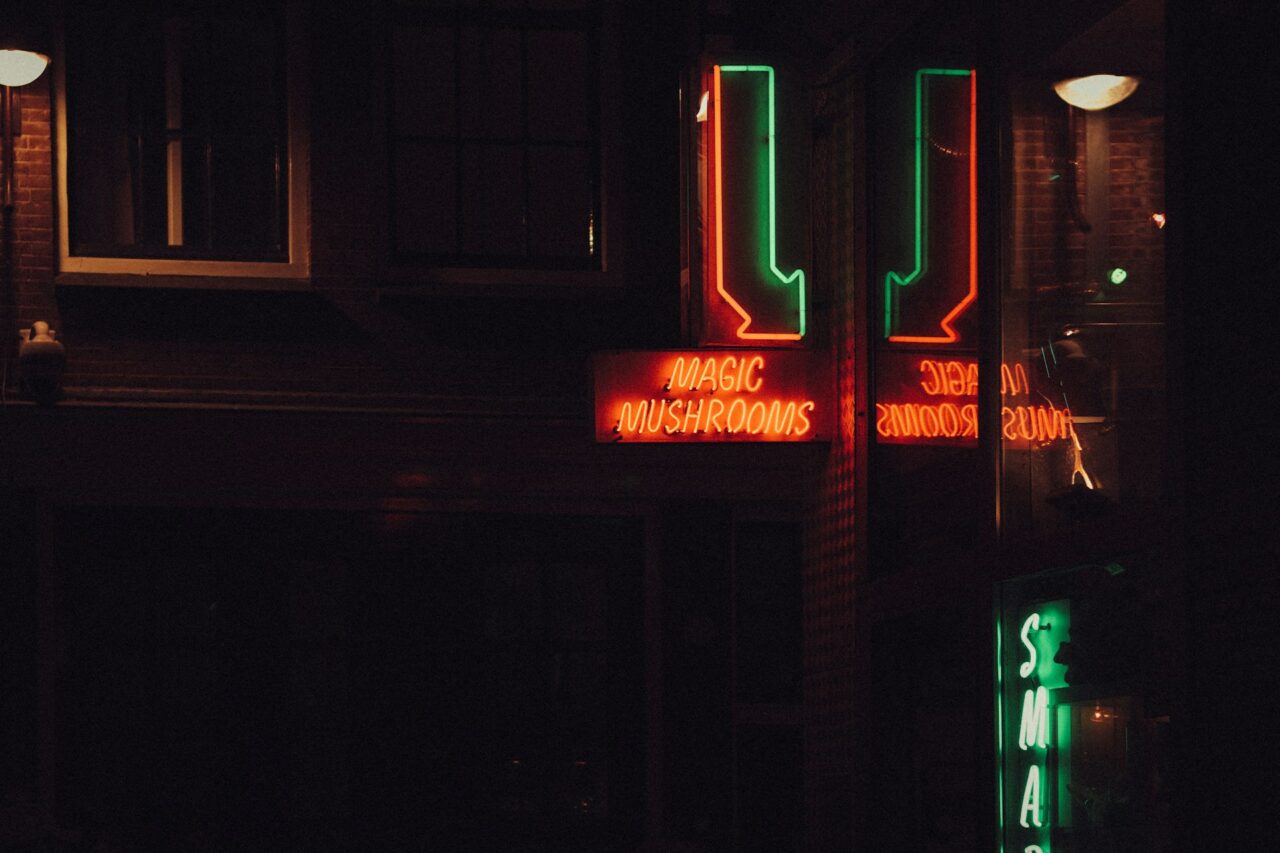Vancouver’s Mushroom Dispensary – How Is Canada Bridging the Gap in the US Magic Mushroom Surge?